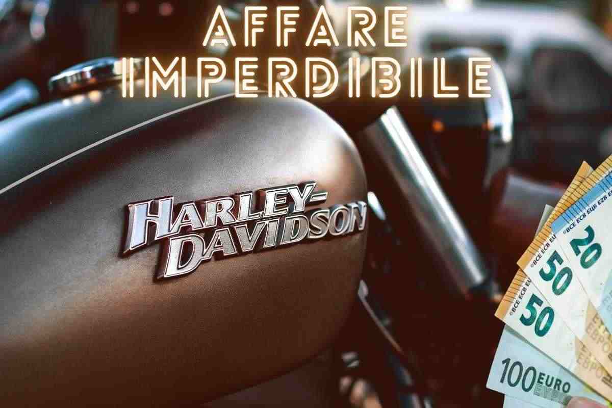 Harley fa impazzire gli appassionati