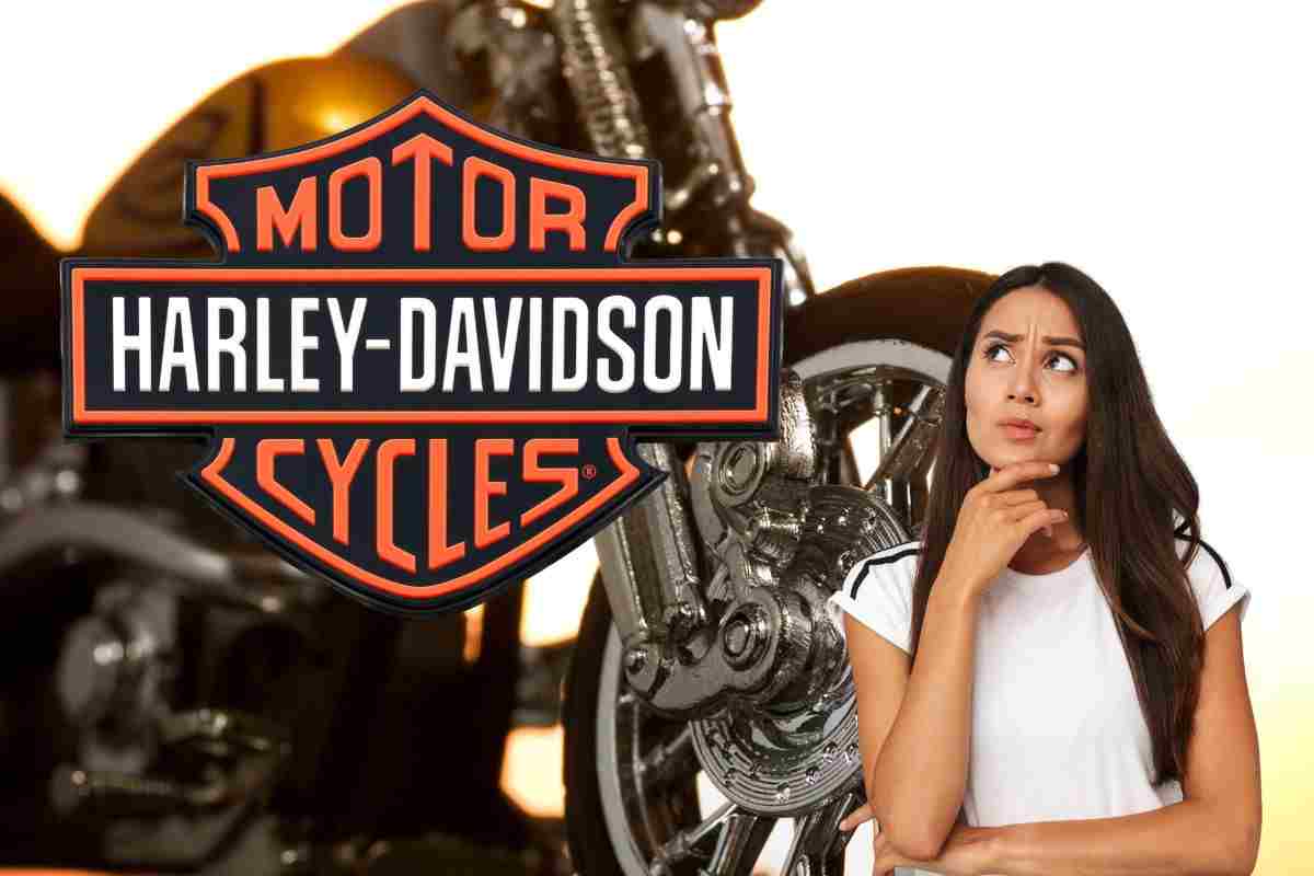 Harley Davidson Royal Enfield Shotgun 650 novità India moto occasione 20 mila Euro